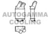 AUTOGAMMA 101493 Intercooler, charger